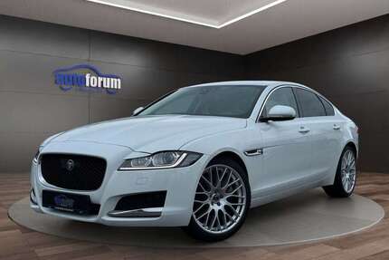 Jaguar XF Gebrauchtwagen