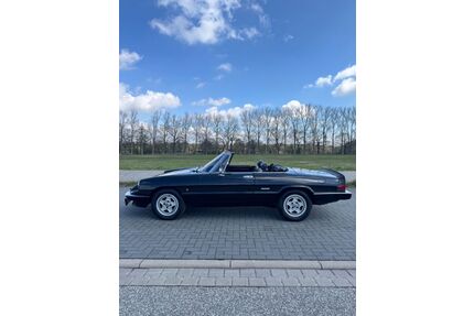 Alfa Romeo Spider Gebrauchtwagen