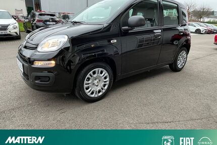 Fiat Panda Gebrauchtwagen