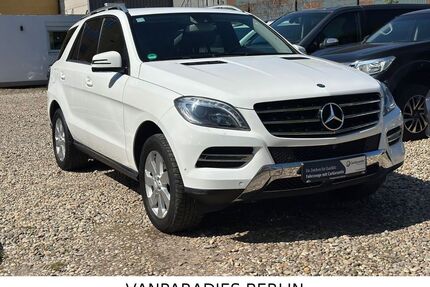 Mercedes-Benz ML 350 Gebrauchtwagen