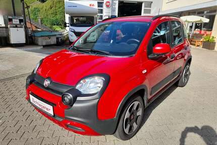 Fiat Panda Gebrauchtwagen