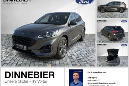 Ford Kuga Gebrauchtwagen
