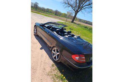 Mercedes-Benz CLK 200 Gebrauchtwagen