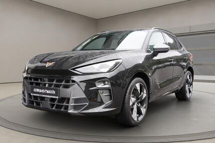 Cupra Terramar Gebrauchtwagen