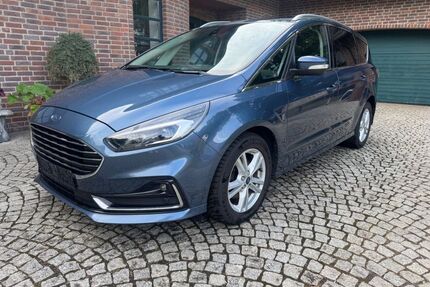 Ford S-Max Gebrauchtwagen