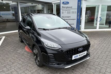 Ford Fiesta Gebrauchtwagen
