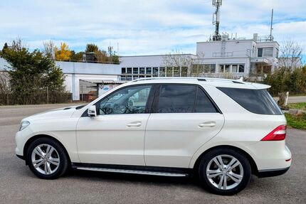 Mercedes-Benz ML 250 Gebrauchtwagen