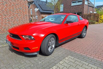 Ford Mustang Gebrauchtwagen