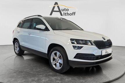 Skoda Karoq Gebrauchtwagen