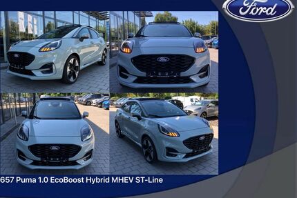 Ford Puma Gebrauchtwagen
