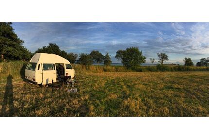 VW T3 Kombi Gebrauchtwagen