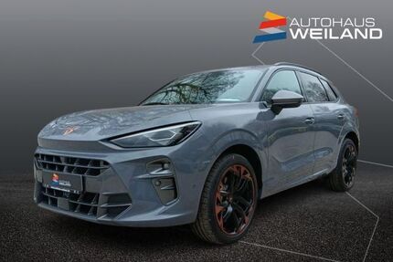 Cupra Terramar Gebrauchtwagen