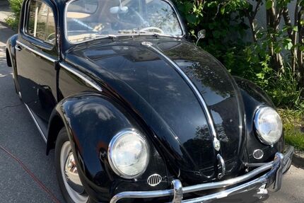 VW Käfer Gebrauchtwagen