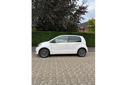 Seat Mii Gebrauchtwagen