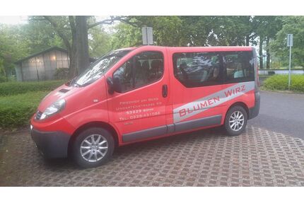 Renault Trafic Gebrauchtwagen