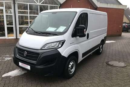 Fiat Ducato Gebrauchtwagen