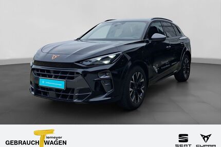 Cupra Terramar Gebrauchtwagen