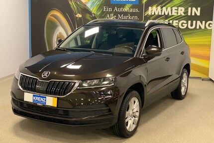 Skoda Karoq Gebrauchtwagen