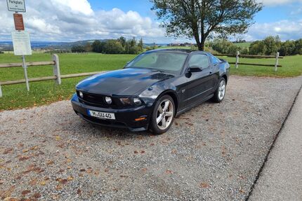 Ford Mustang Gebrauchtwagen