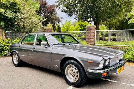 Jaguar XJ Gebrauchtwagen