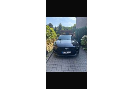 Ford Mustang Gebrauchtwagen