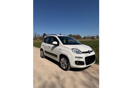Fiat Panda Gebrauchtwagen