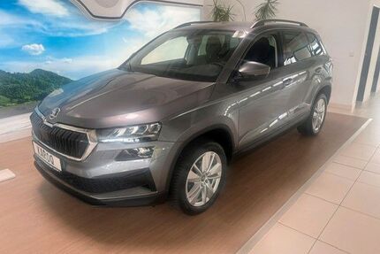 Skoda Karoq Gebrauchtwagen