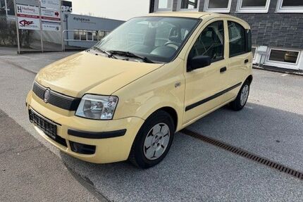 Fiat Panda Gebrauchtwagen