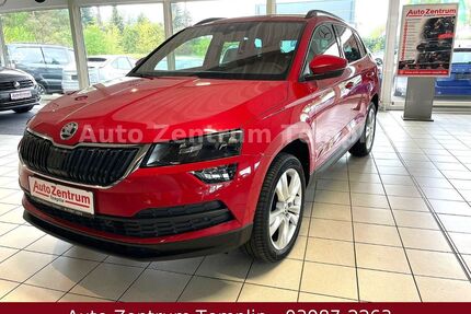 Skoda Karoq Gebrauchtwagen
