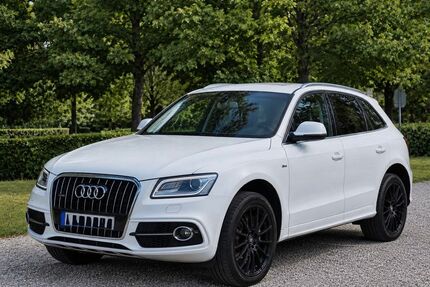 Audi Q5 Gebrauchtwagen