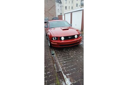 Ford Mustang Gebrauchtwagen