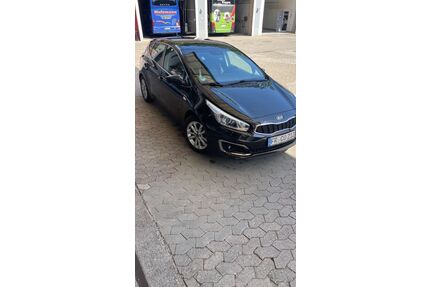 Kia ceed / Ceed Gebrauchtwagen