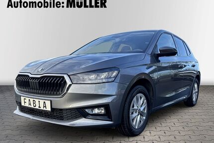 Skoda Fabia Gebrauchtwagen