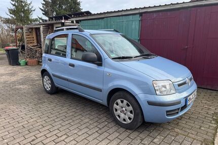 Fiat Panda Gebrauchtwagen
