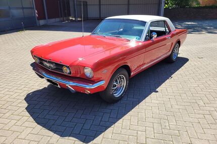 Ford Mustang Gebrauchtwagen