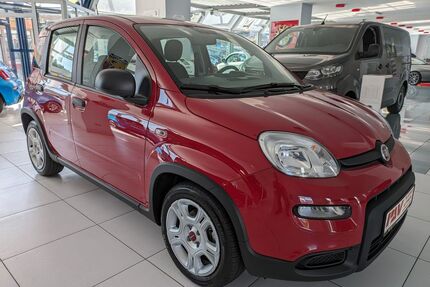 Fiat Panda Gebrauchtwagen