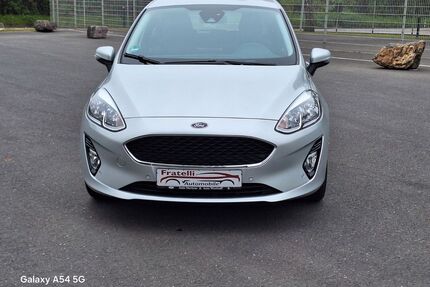 Ford Fiesta Gebrauchtwagen