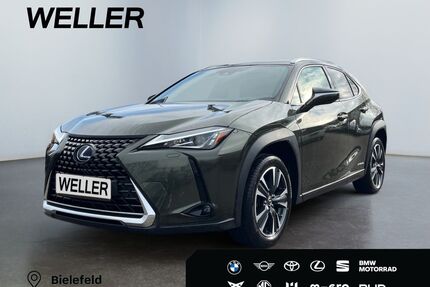 Lexus UX Gebrauchtwagen