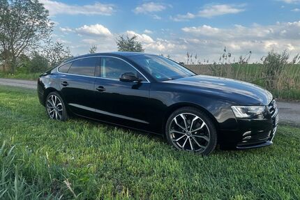 Audi A5 Gebrauchtwagen