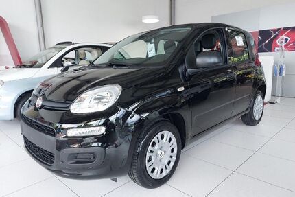 Fiat Panda Gebrauchtwagen