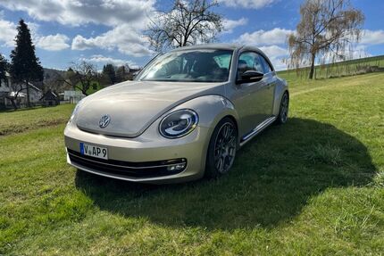VW Beetle Gebrauchtwagen