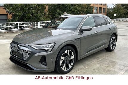 Audi Q8 e-tron Gebrauchtwagen