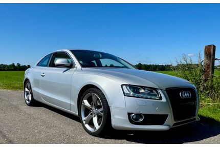 Audi A5 Gebrauchtwagen