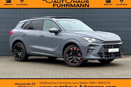 Cupra Terramar Gebrauchtwagen