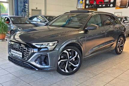 Audi Q8 e-tron Gebrauchtwagen
