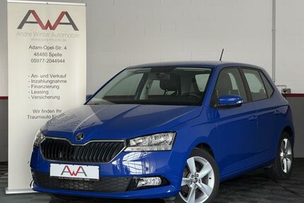 Skoda Fabia Gebrauchtwagen