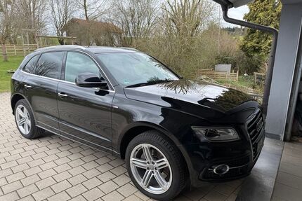 Audi Q5 Gebrauchtwagen