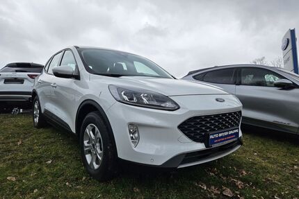 Ford Kuga Gebrauchtwagen