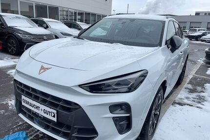 Cupra Terramar Gebrauchtwagen