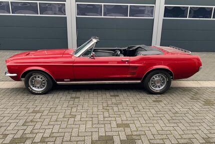 Ford Mustang Gebrauchtwagen